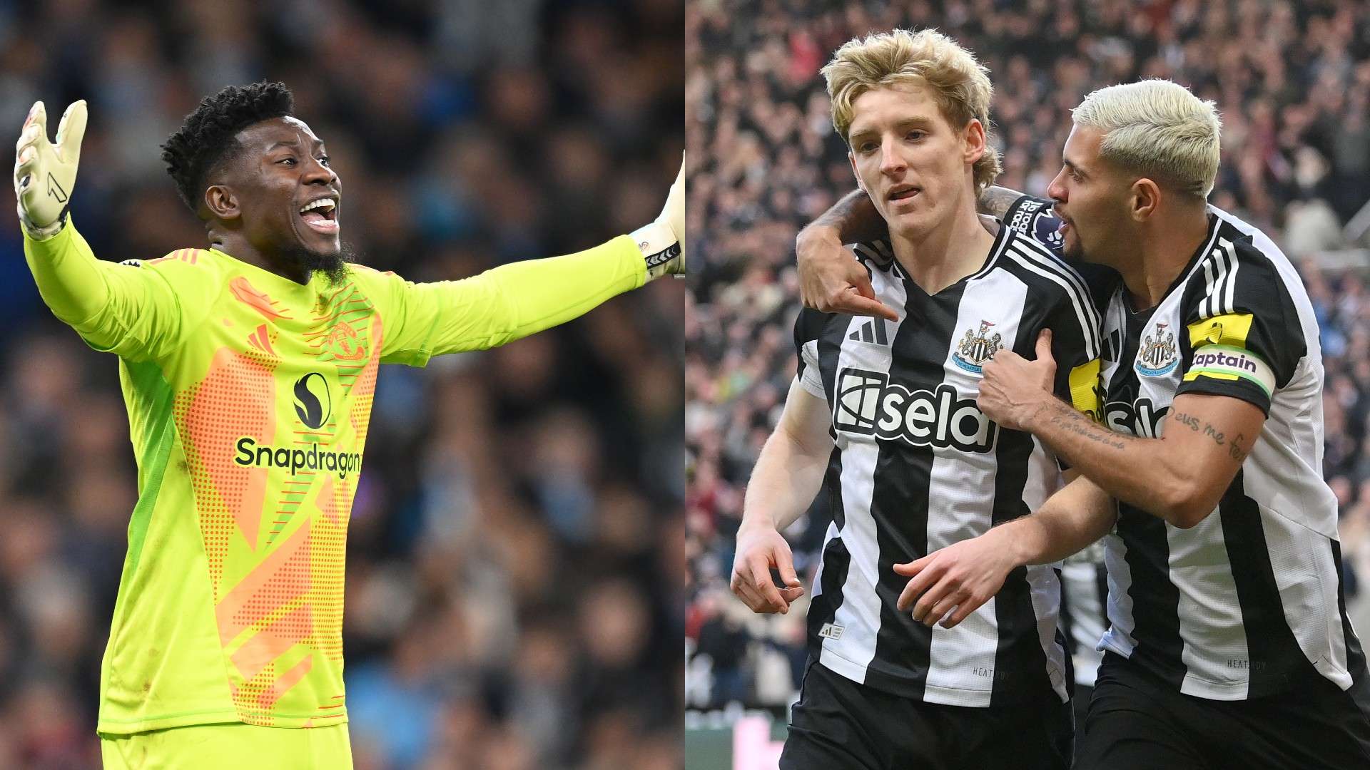 禀的年轻选 禀的年轻选