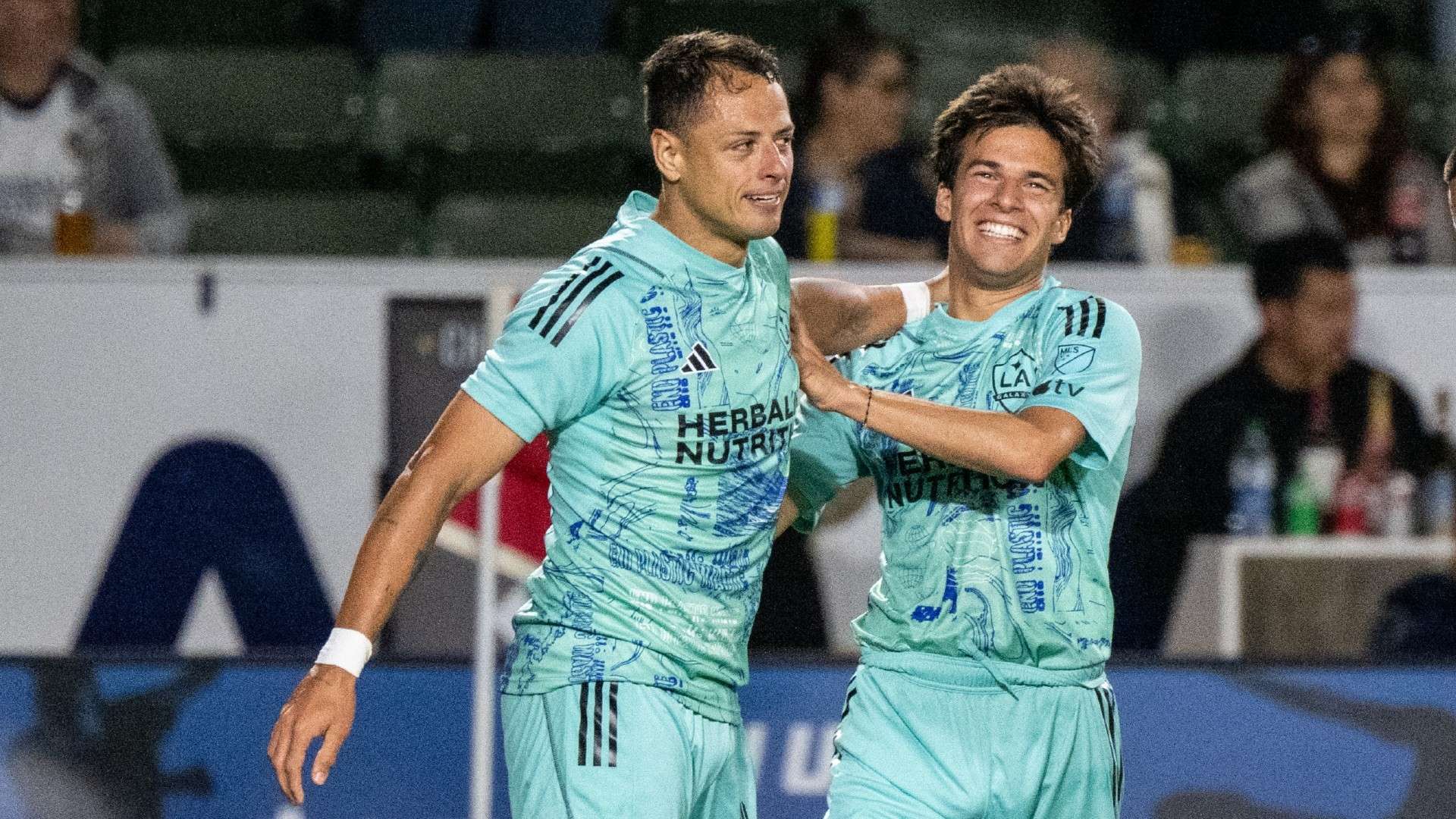 多样的饮食 多样的饮食