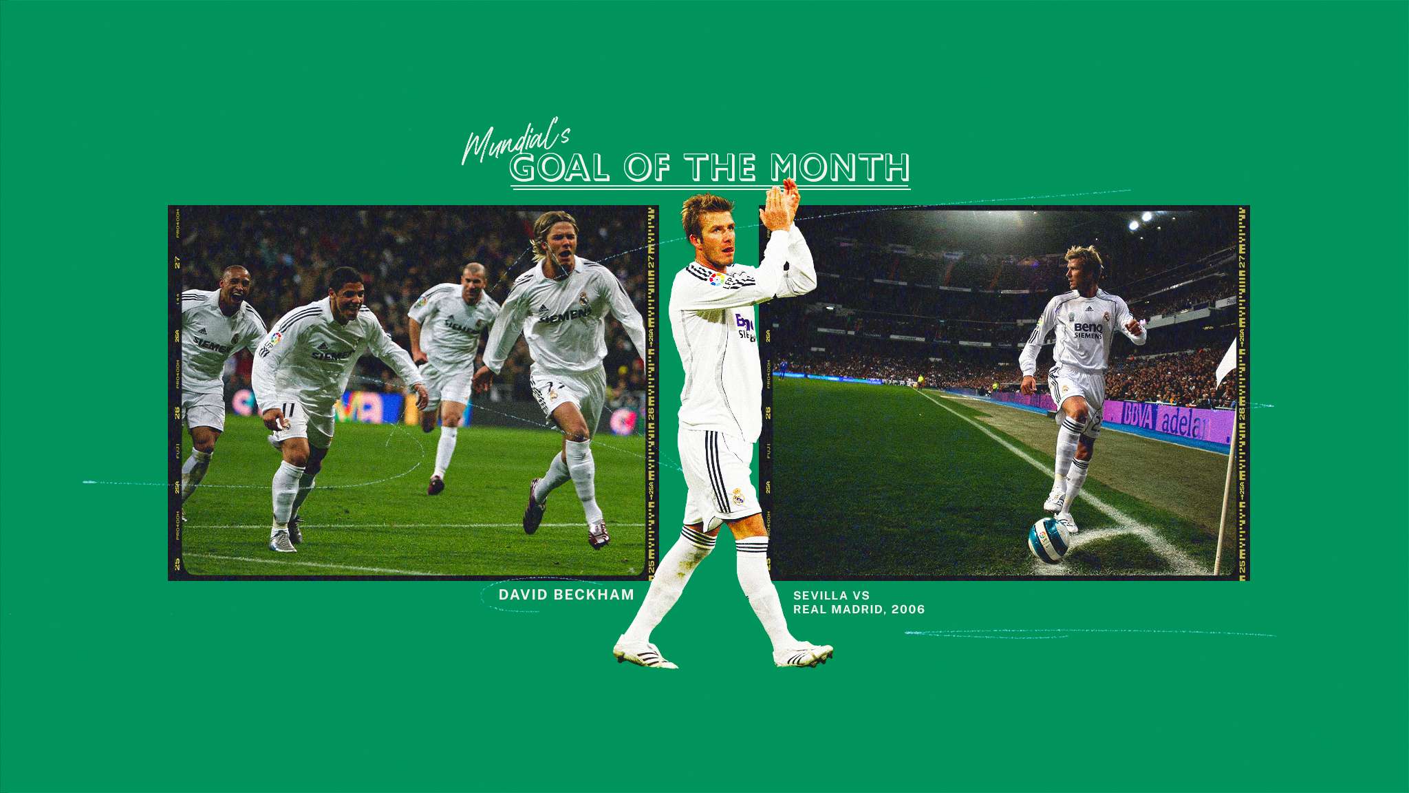 毅力和智慧 毅力和智慧