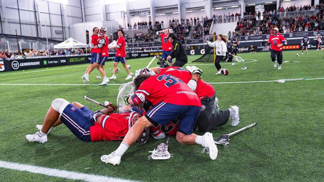 项目分类和 项目分类和