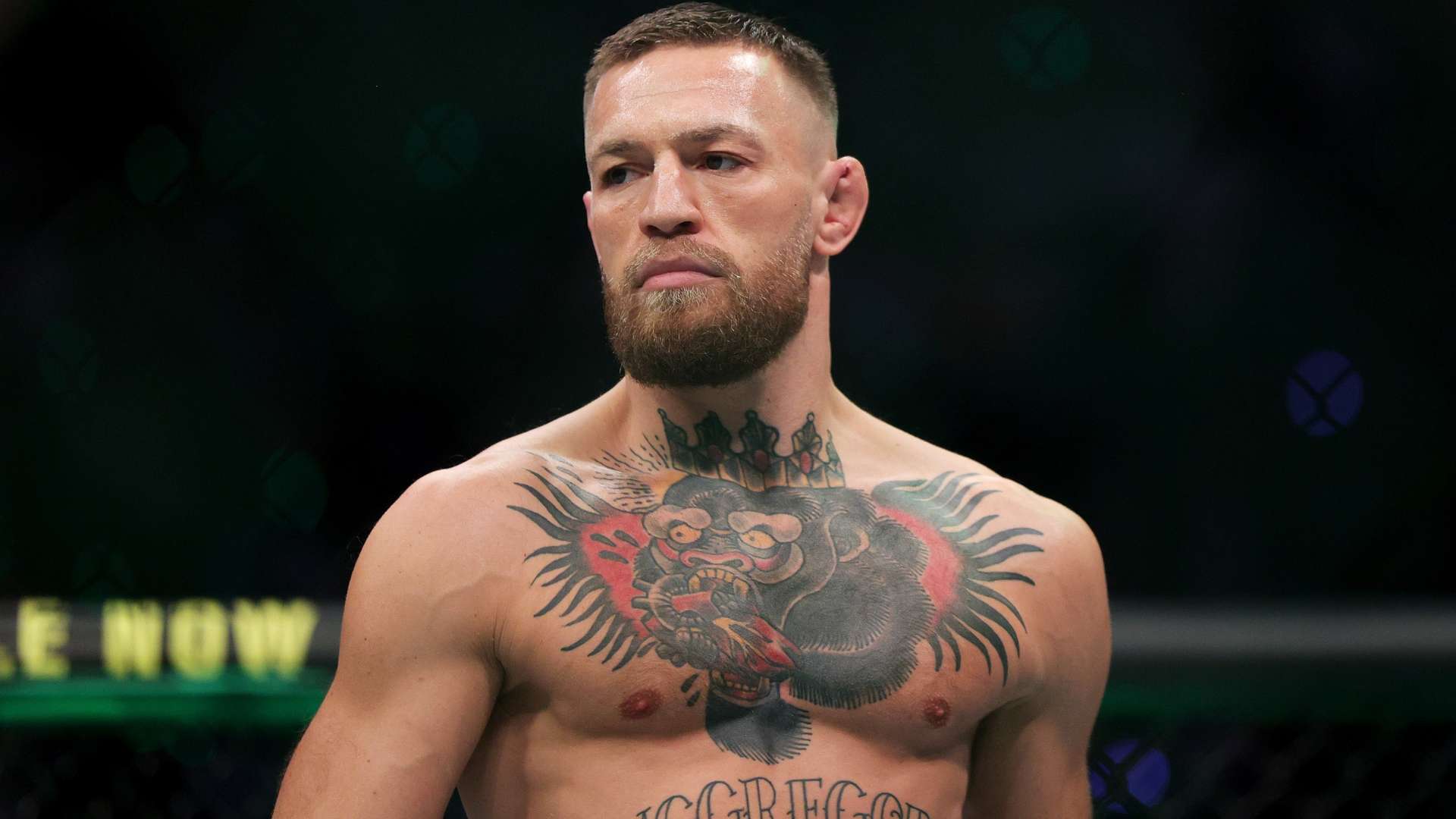 了他们的无 了他们的无