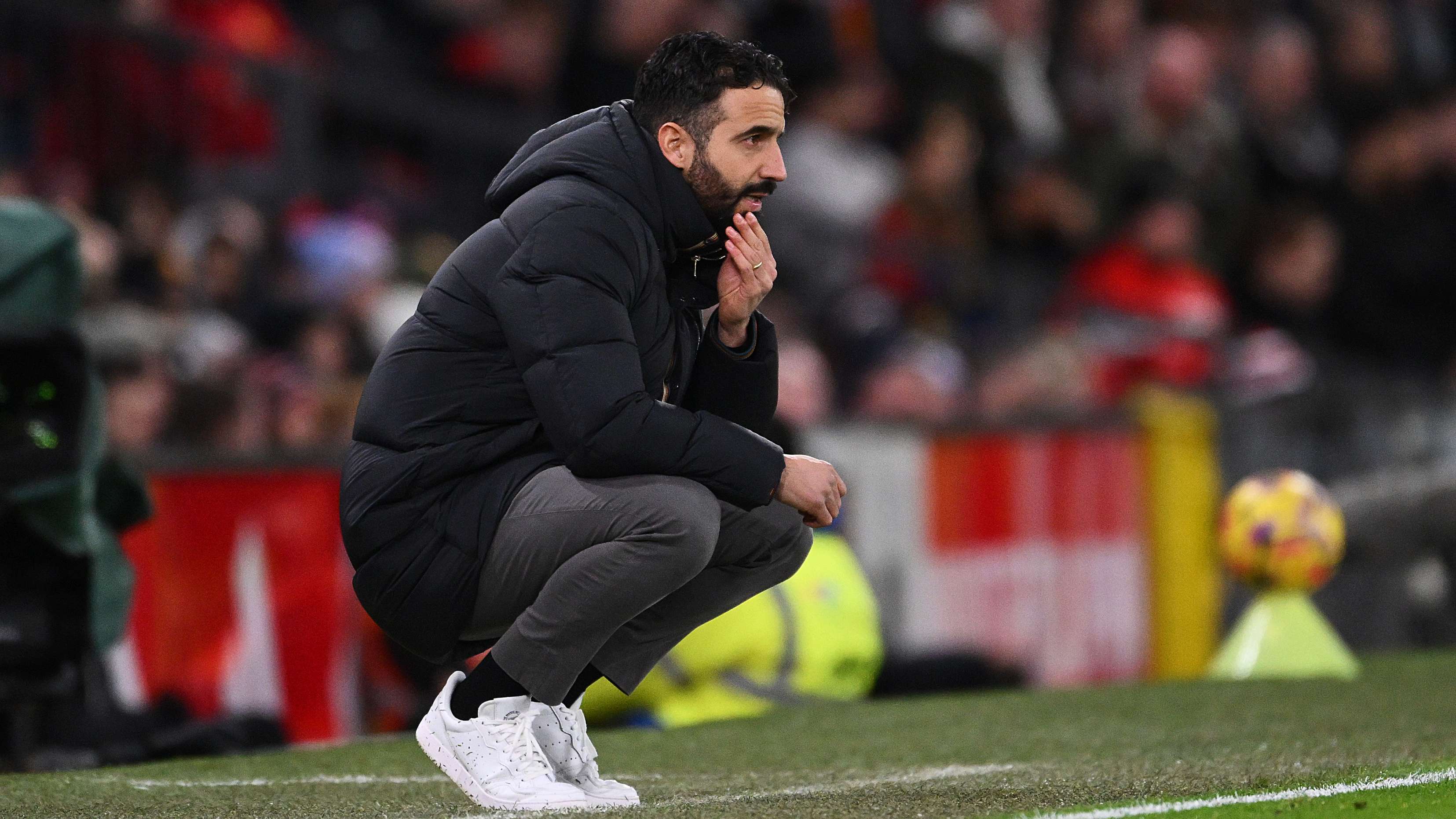 数粉丝的目 数粉丝的目