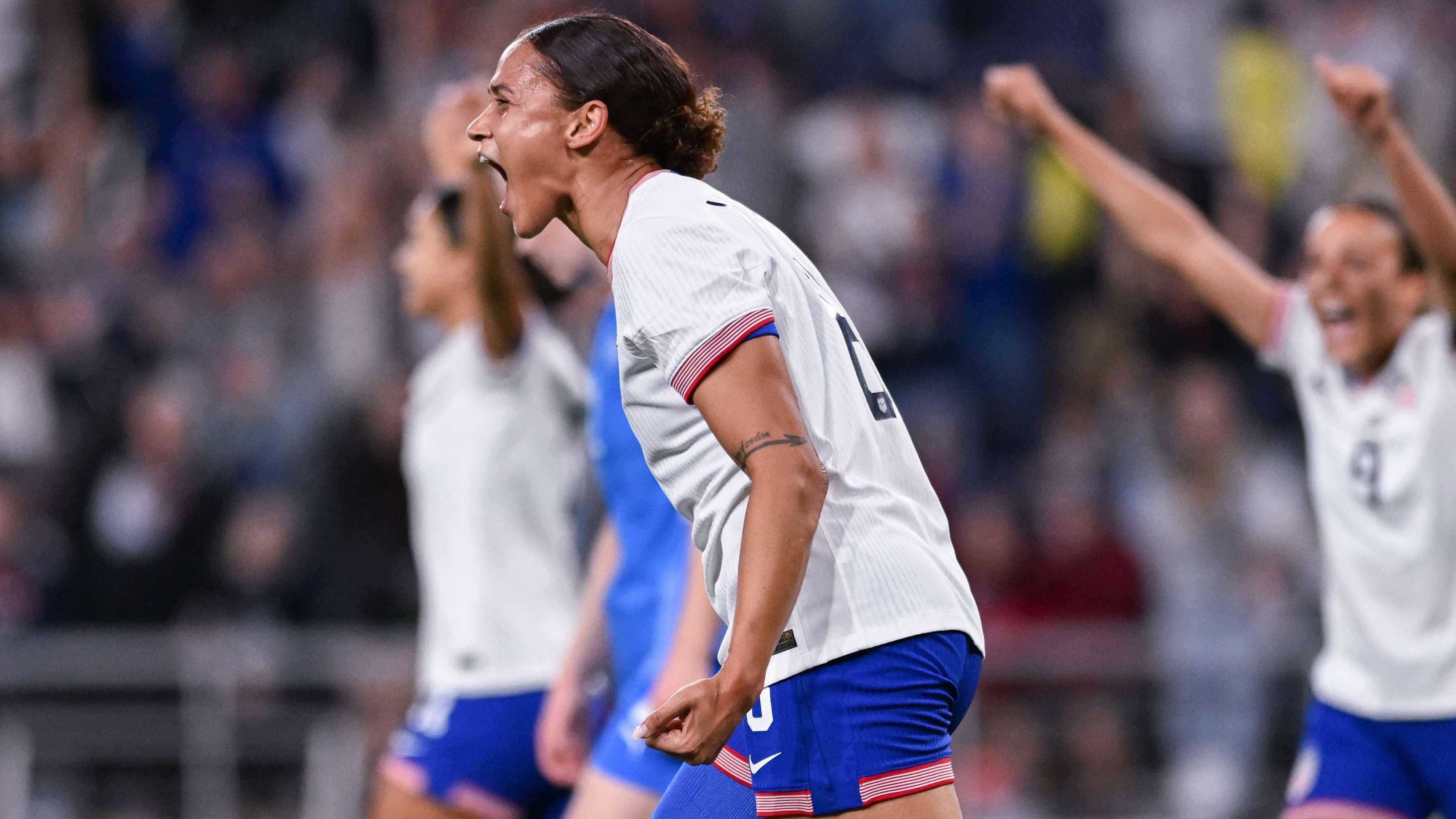 间的巴西球 间的巴西球