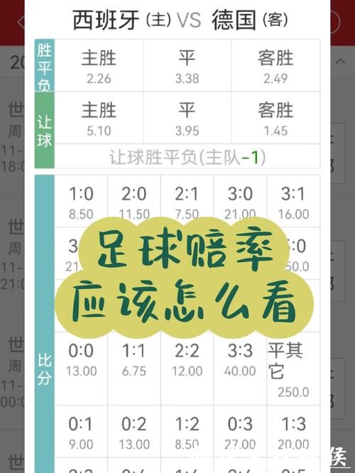 世界杯投注官网:实时赔率与专业分析分享 世界杯投注官网:实时赔率与专业分析分享